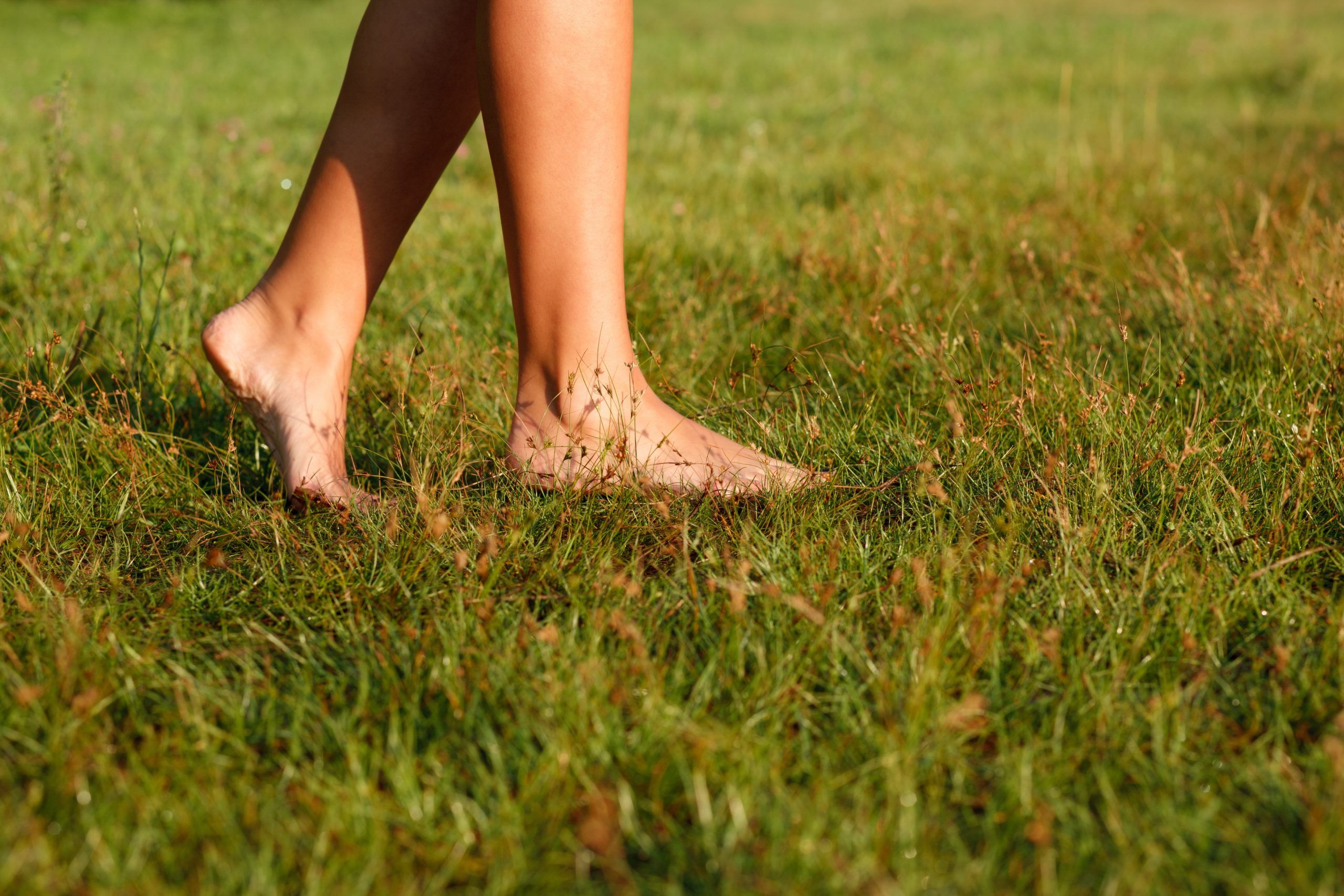 The Science Behind Earthing - The 100 Year Lifestyle